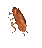 Partyroach